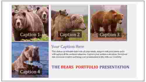 portfolio presentation template-The Bears  portfolio presentation